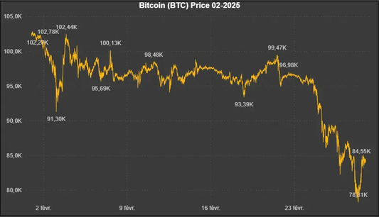 Données historiques - Bitcoin (BTC) 02-2025 Market5s
