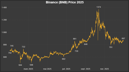 [License] Binance (BNB) Historical Price Dataset – Year 2025